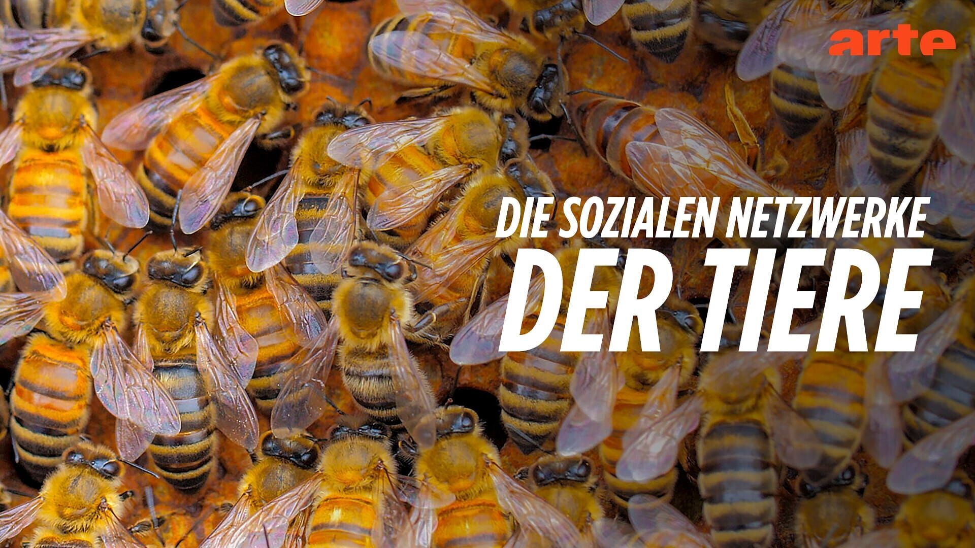 Ensemble, plus forts