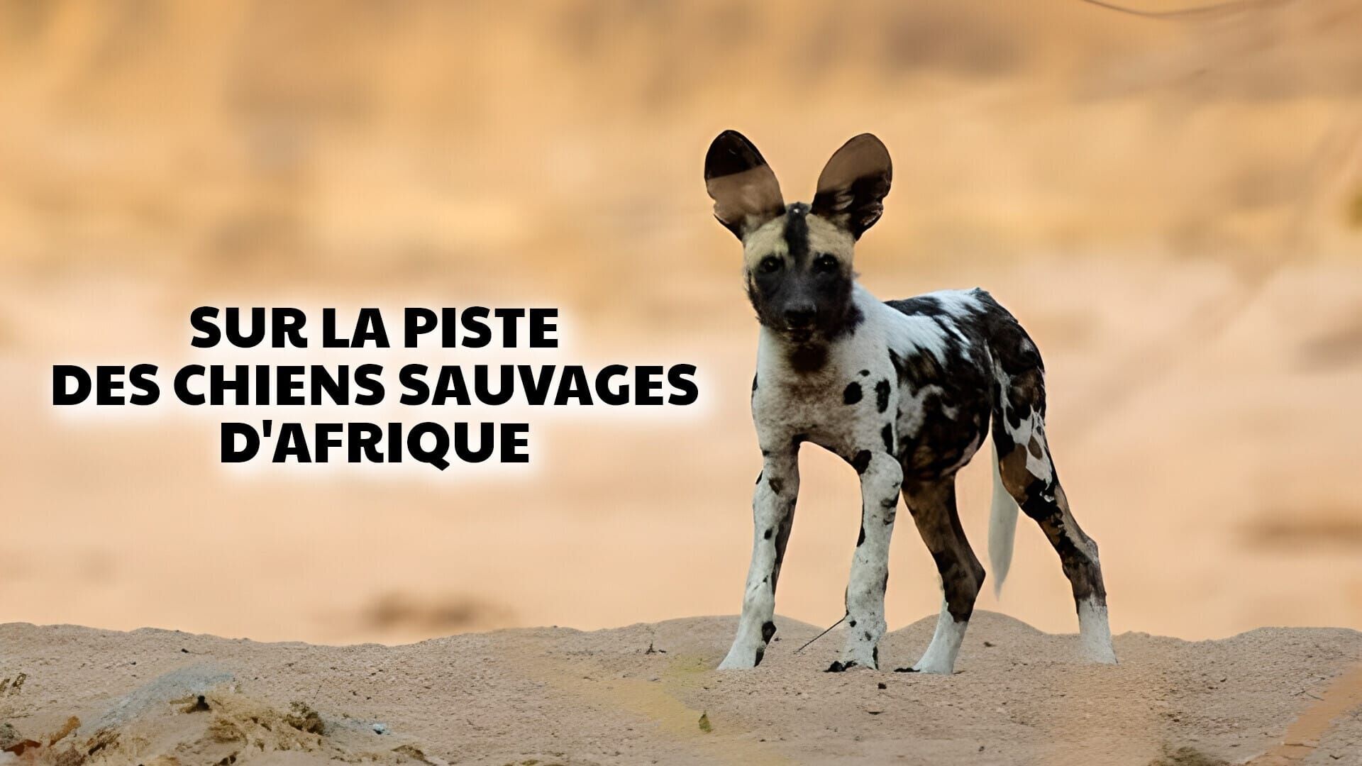 La voix de la raison