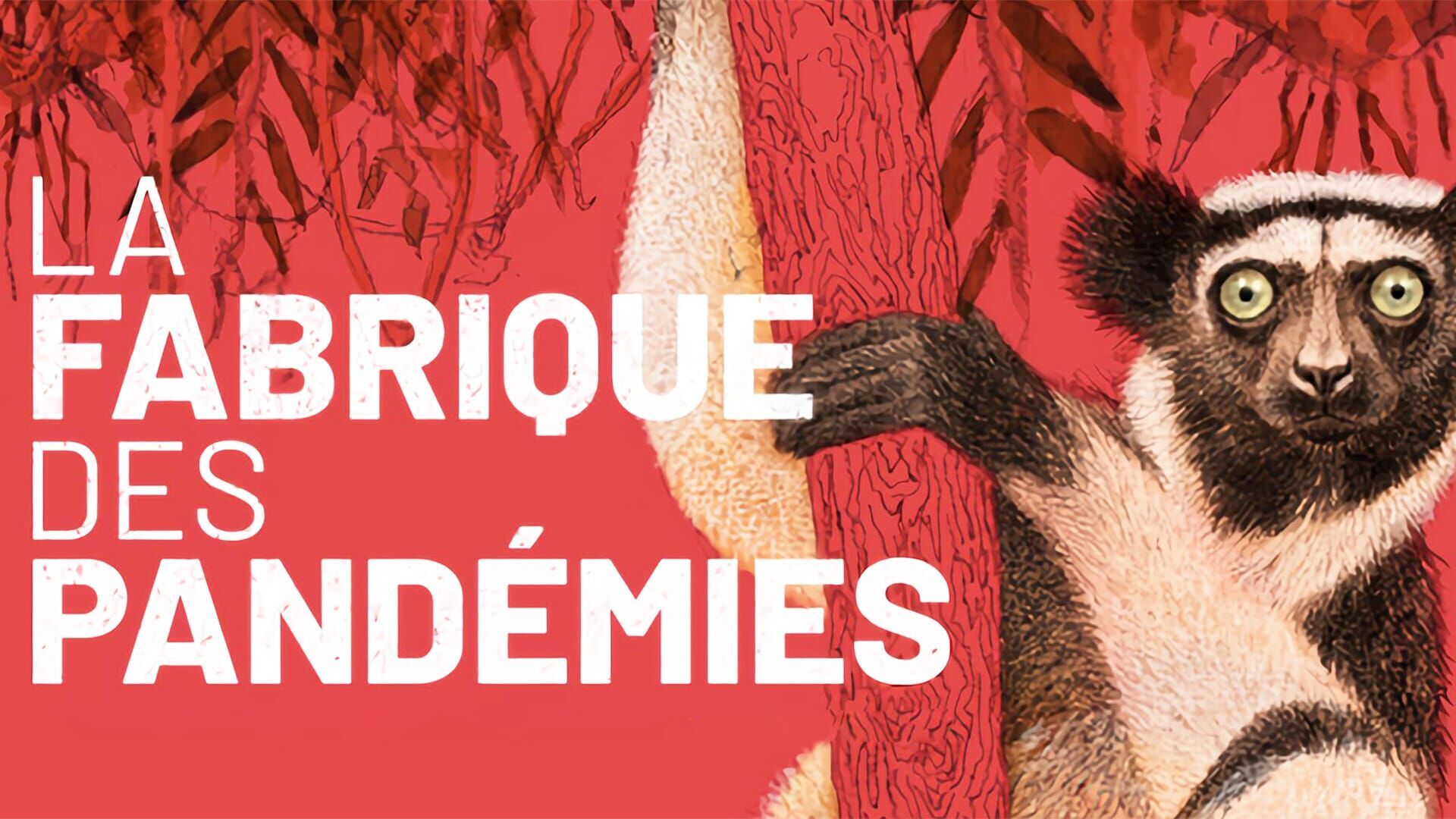 La fabrique des pandémies