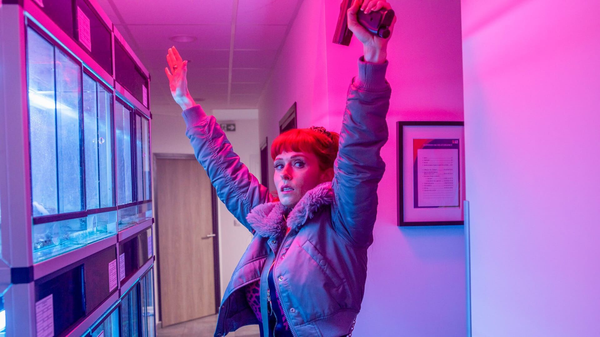 Phyllobates terribilis