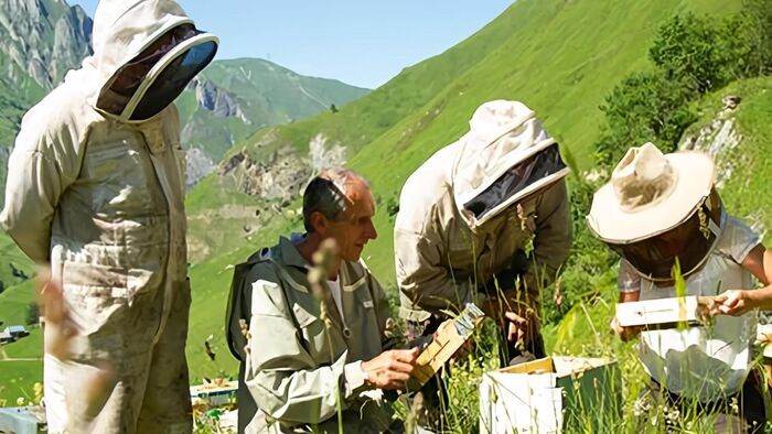 Ma vie avec les abeilles