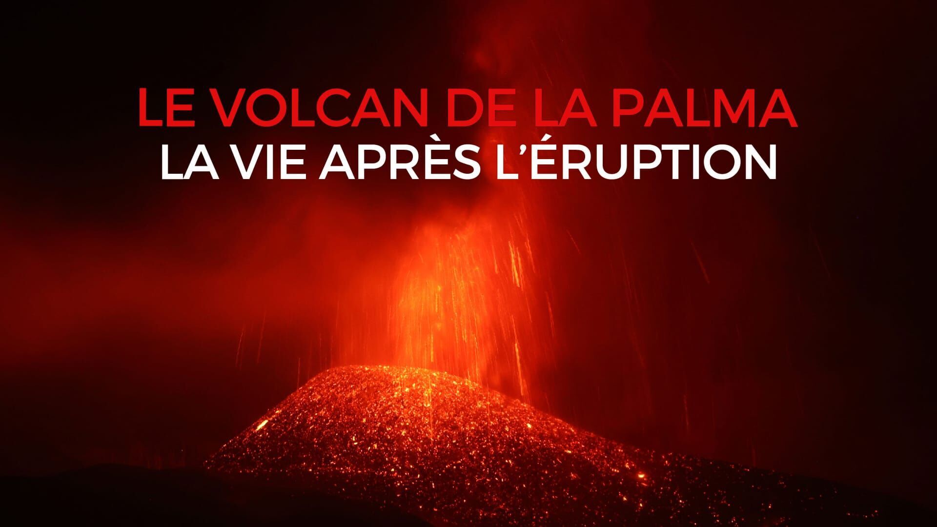 Le volcan de la Palma : la vie après l'éruption