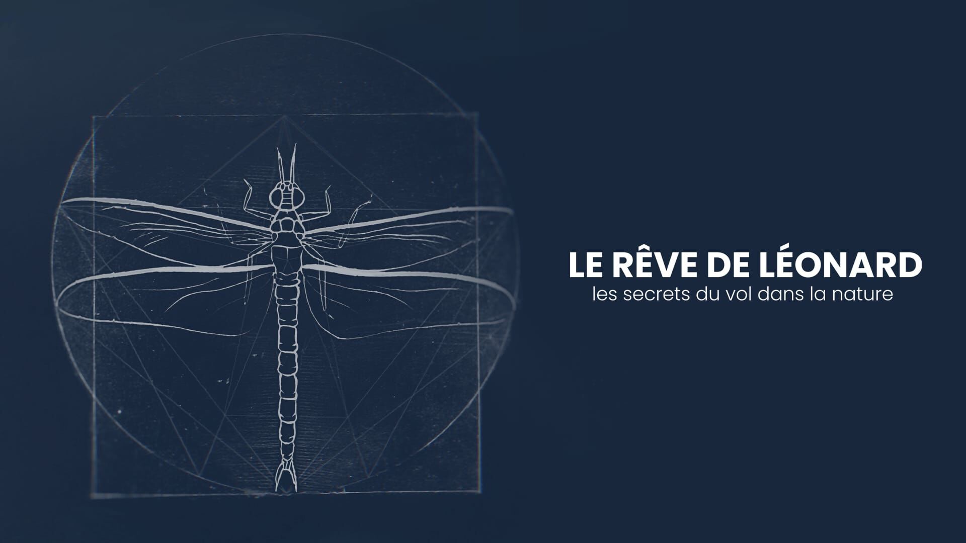 Le rêve de Léonard, les secrets du vol dans la nature