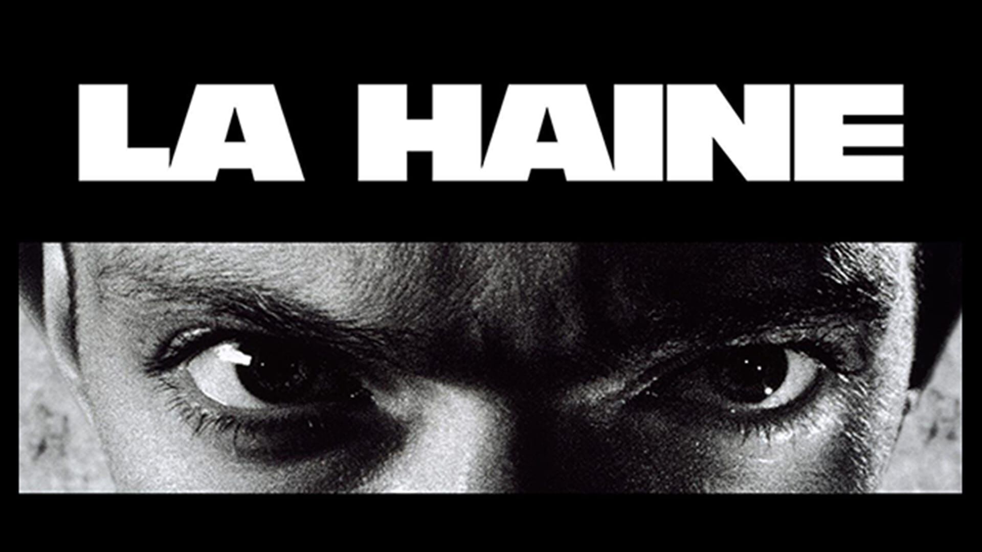 La haine