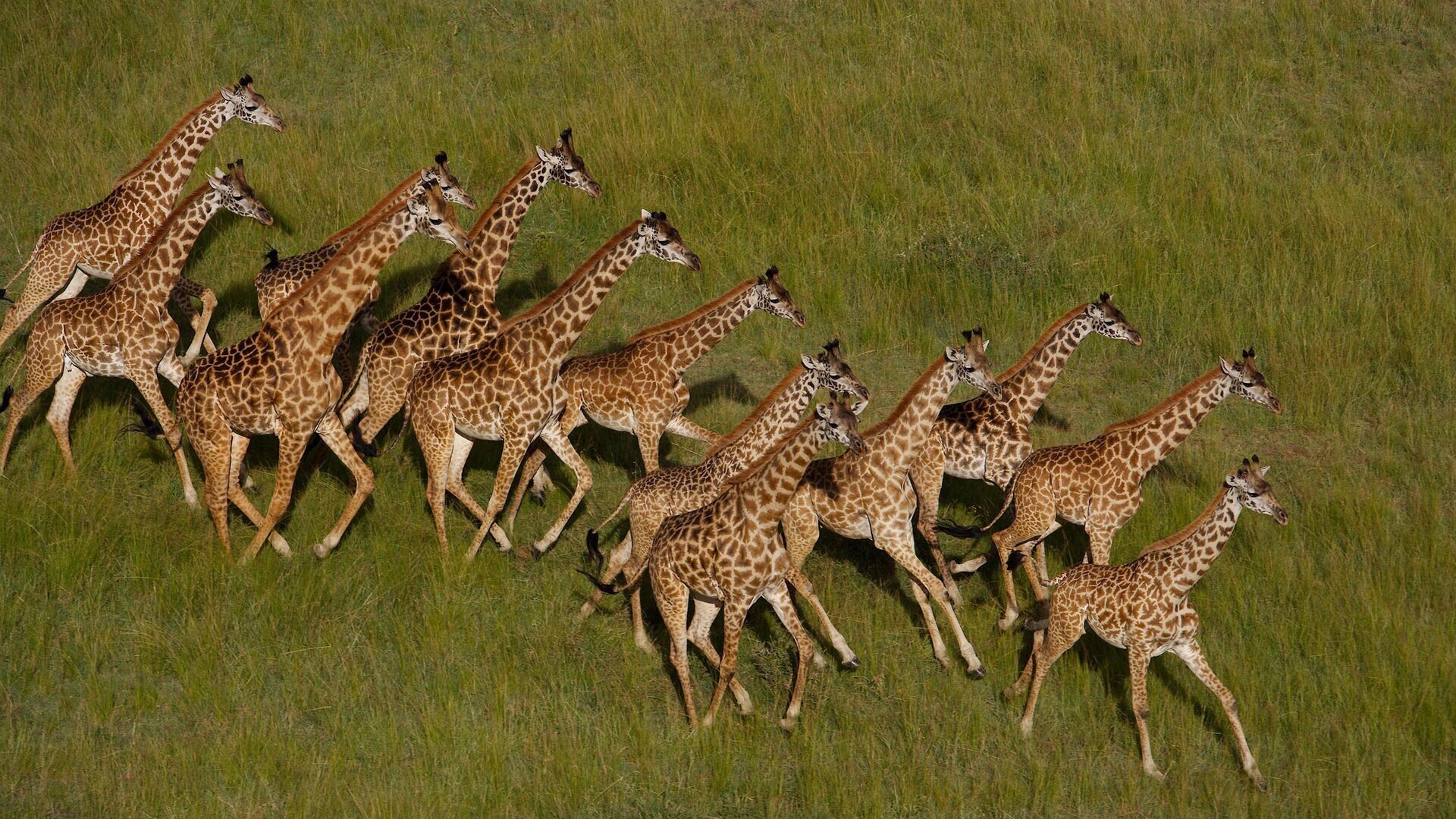 La Terre n'appartient pas à l'homme, c'est l'homme qui appartient à la Terre (1/2)