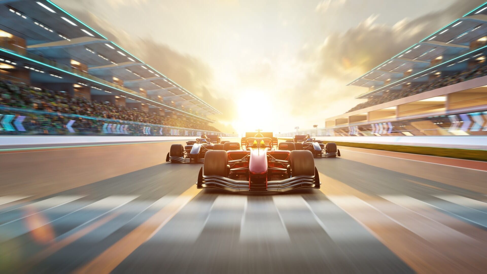 How can we prevent animals ending up as roadkill?