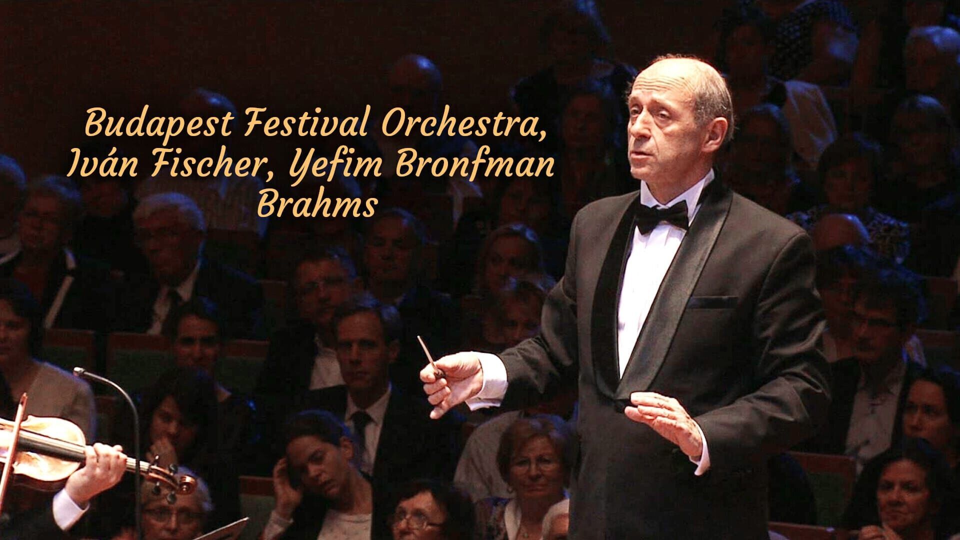 Budapest Festival Orchestra, Iván Fischer, Nicolas Namoradze : Brahms