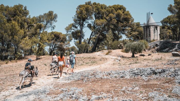 Best of Occitanie