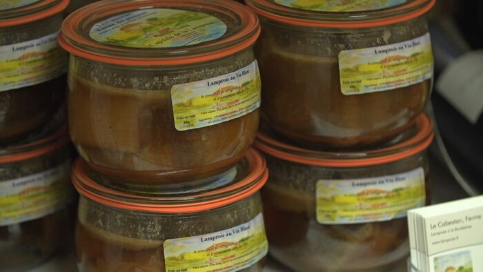 Saint-Émilion et lamproie en Libournais