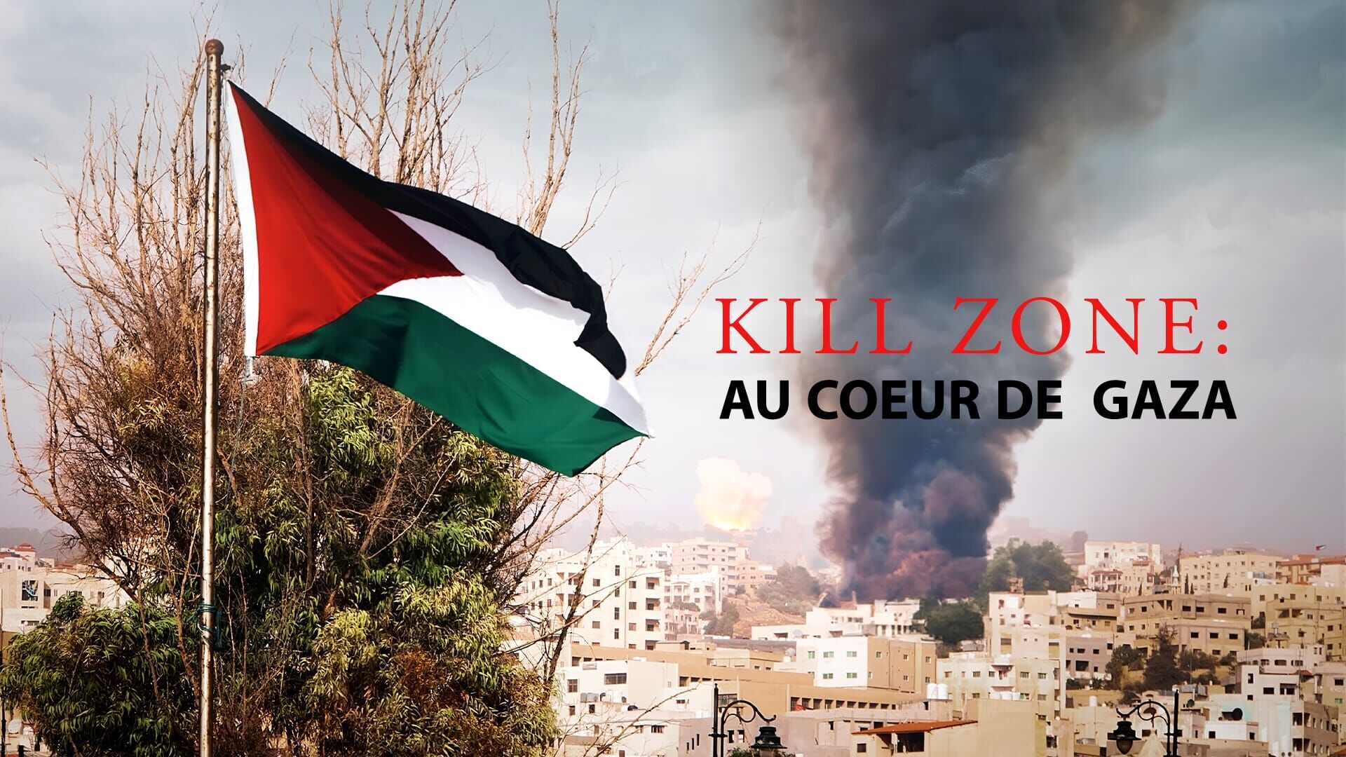 Kill Zone : au coeur de Gaza