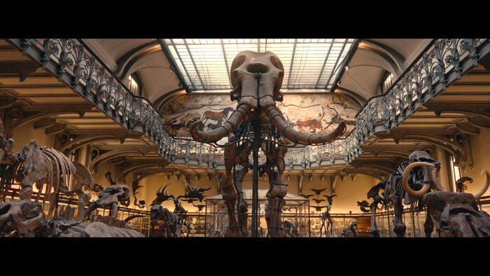 Jurassic Cash