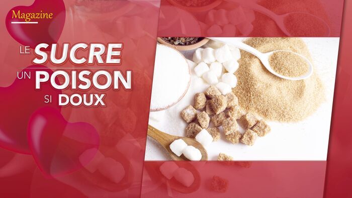 Le sucre, un poison si doux