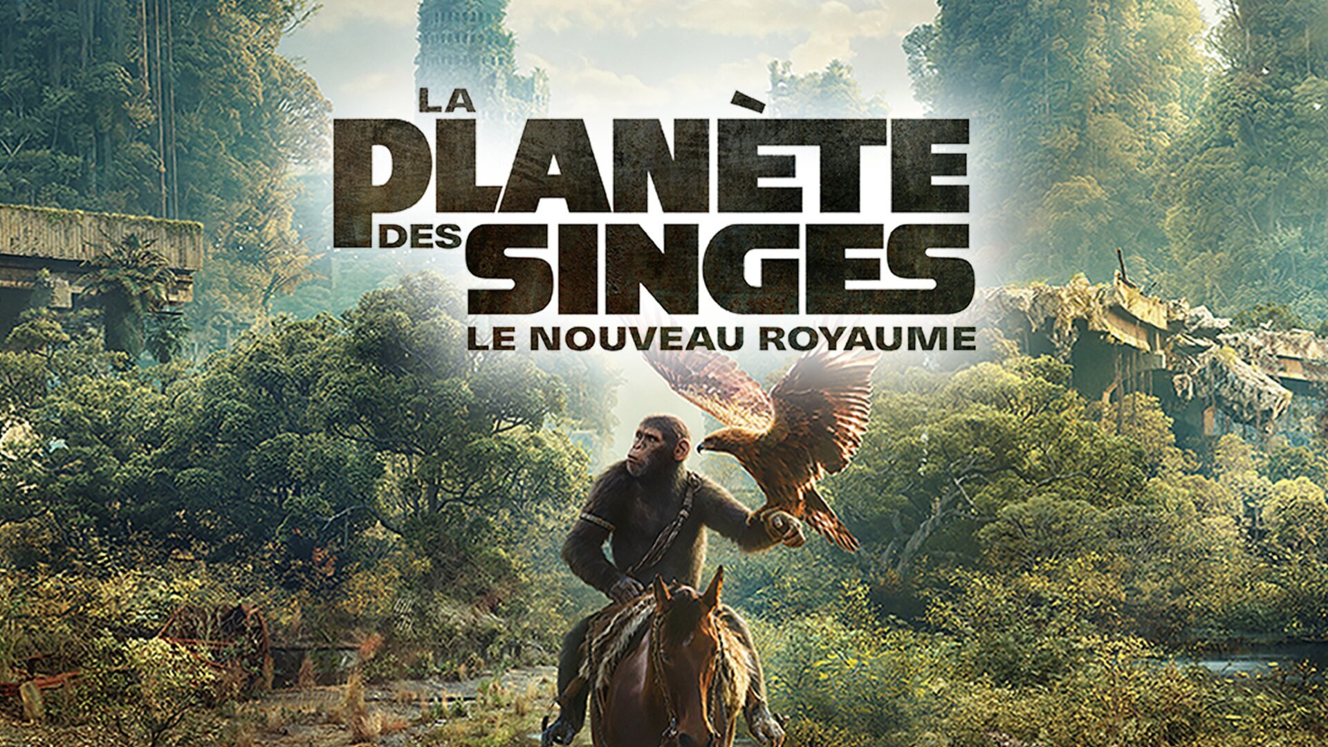 La planète des singes : Le nouveau royaume