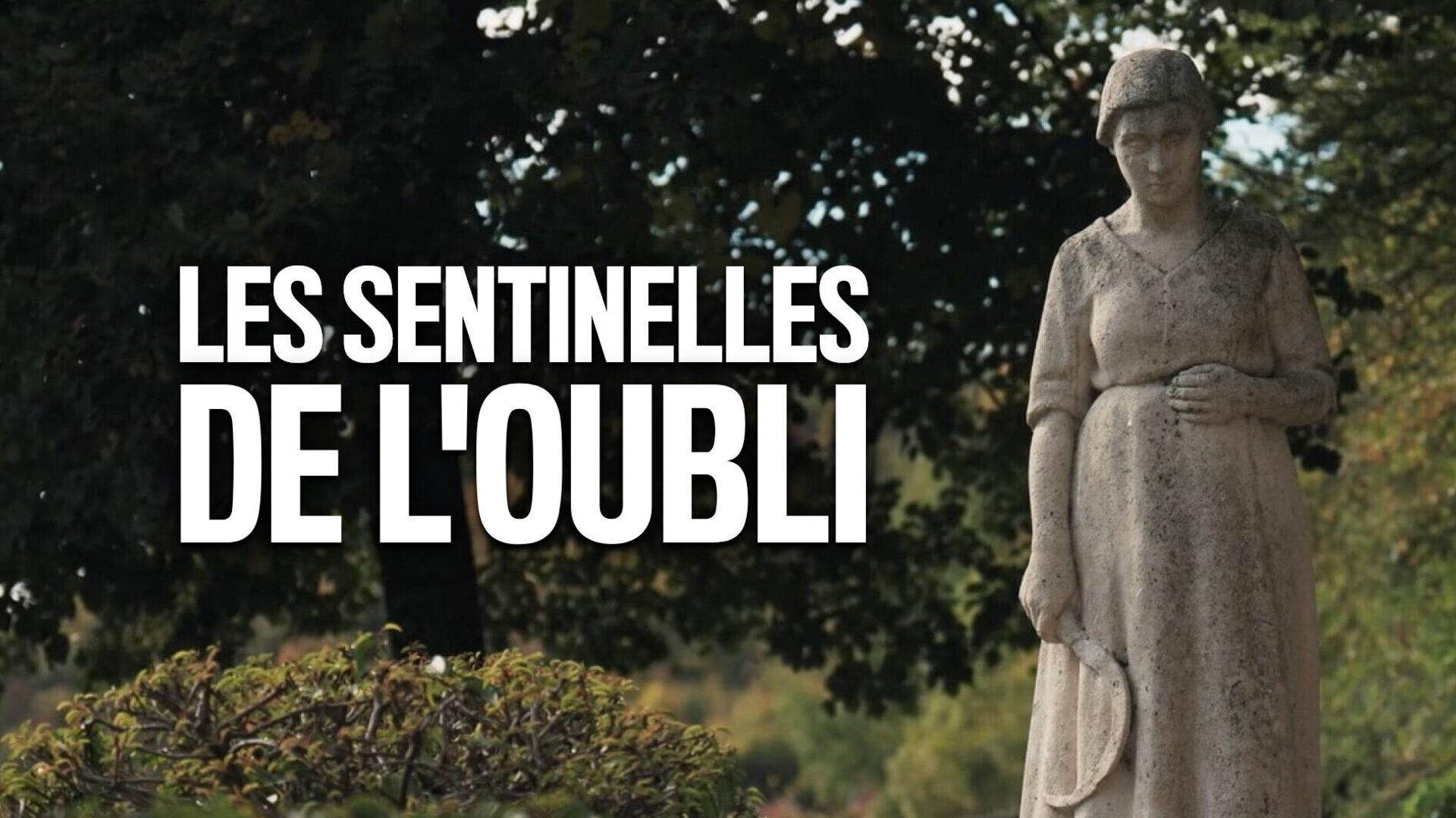 Les sentinelles de l'oubli