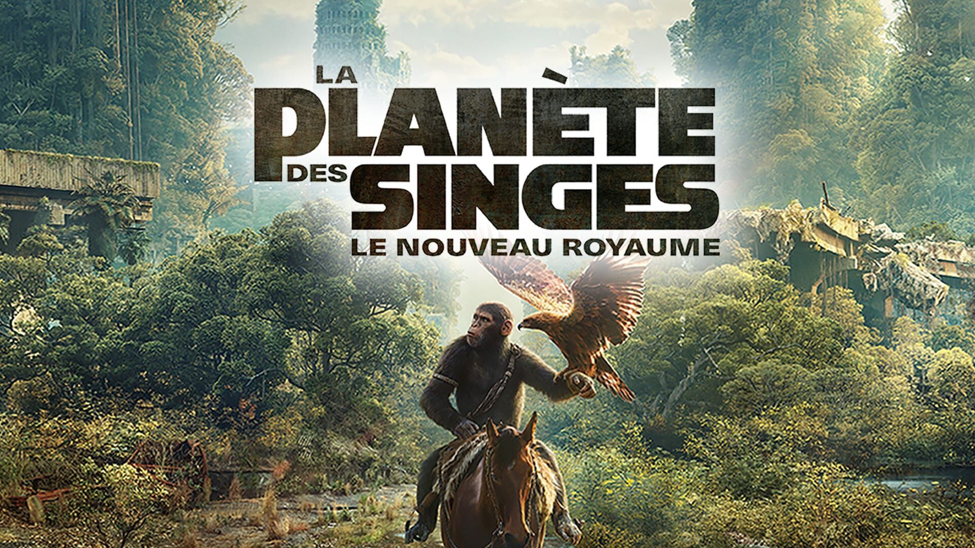La planète des singes : Le nouveau royaume