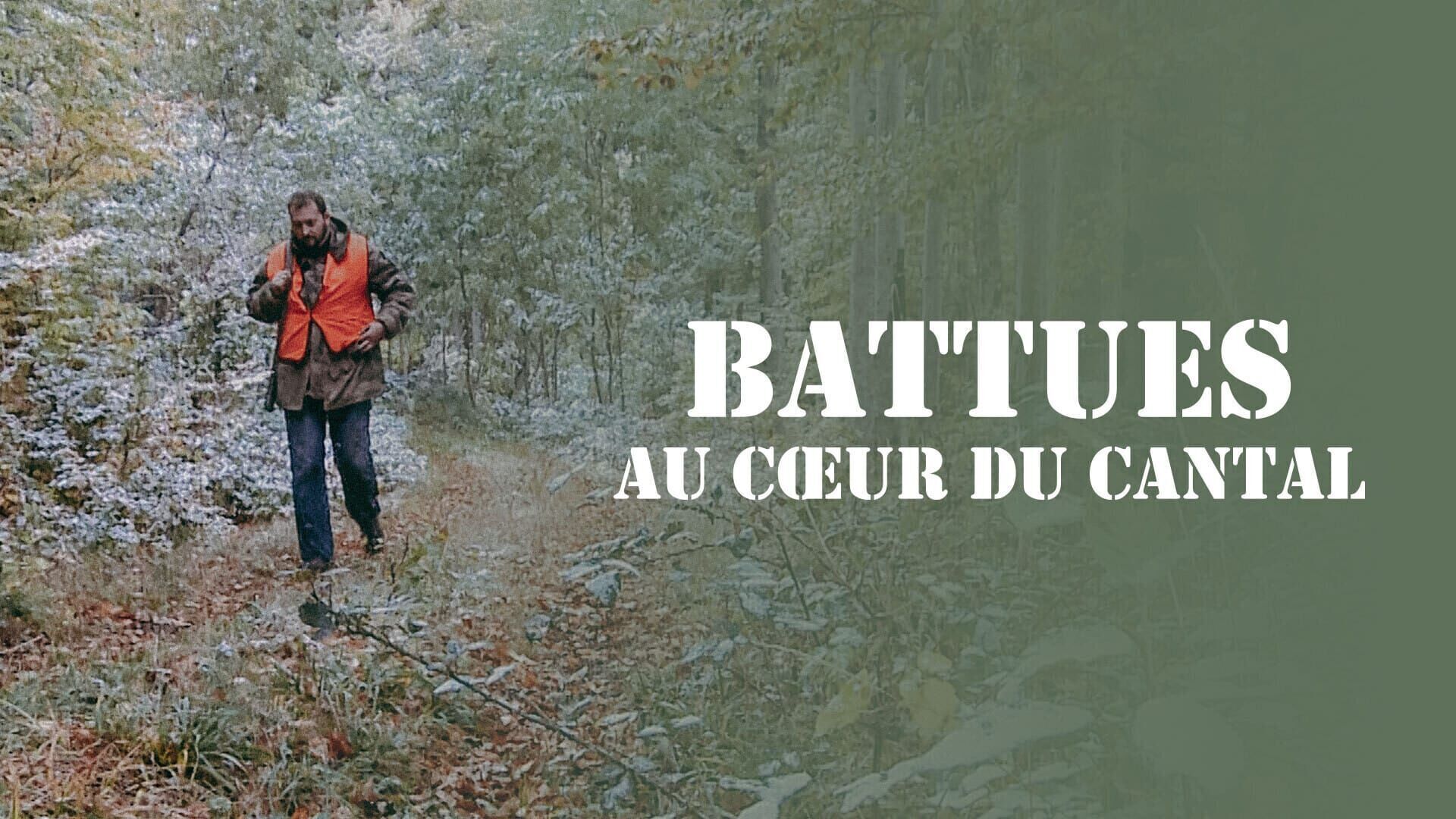 Battues au coeur du Cantal