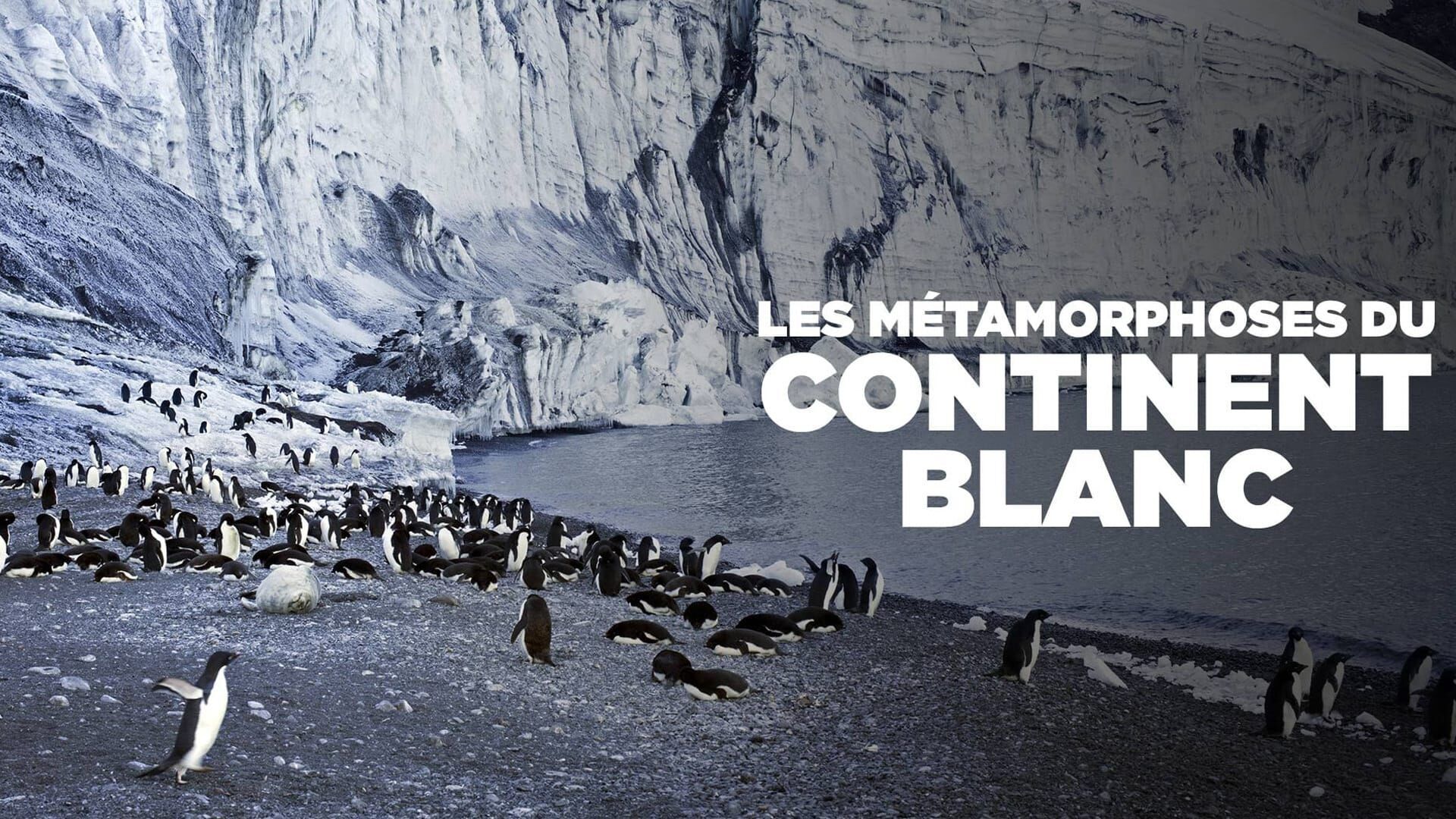 Les métamorphoses du continent blanc