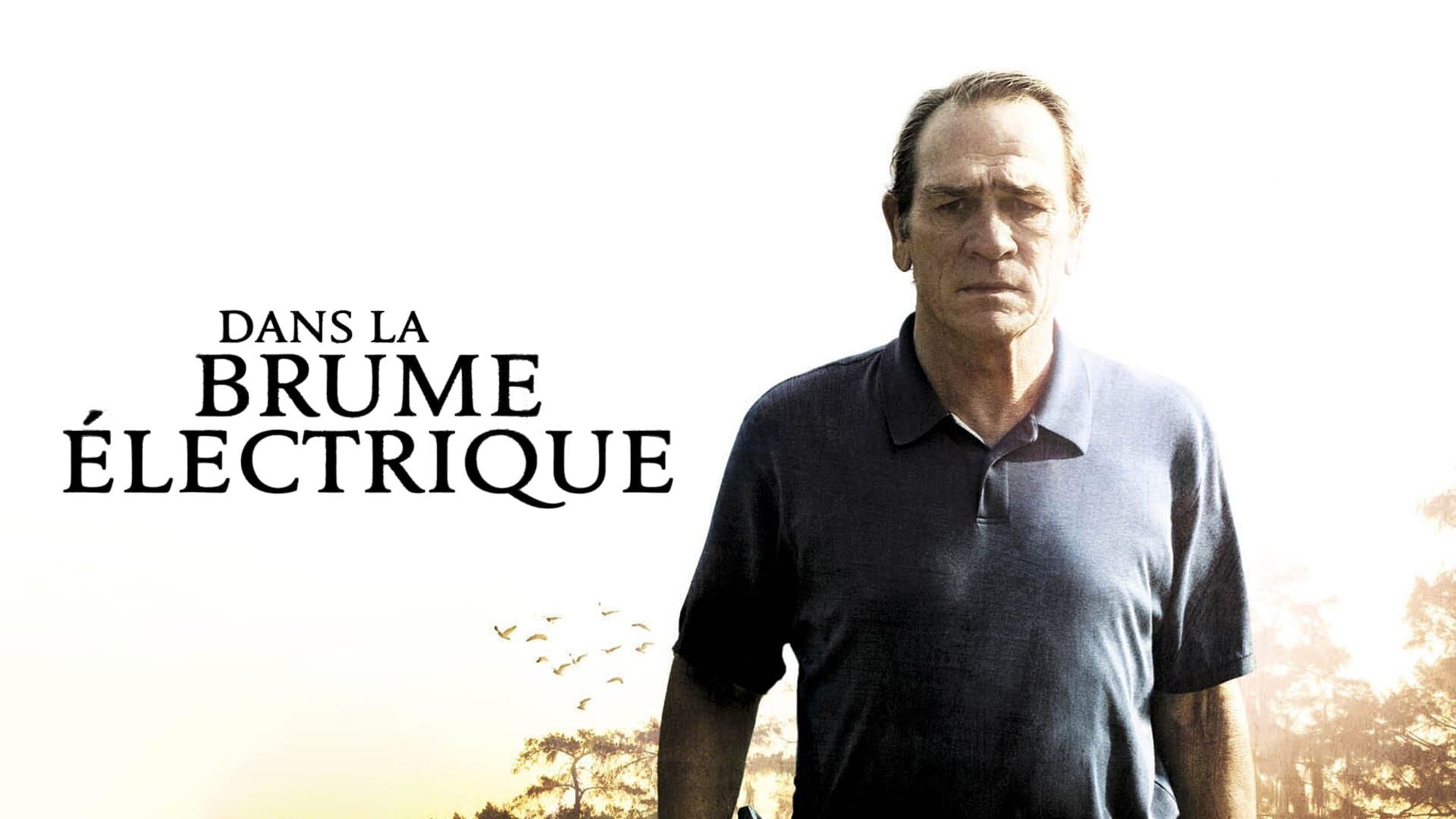 Dans la brume électrique