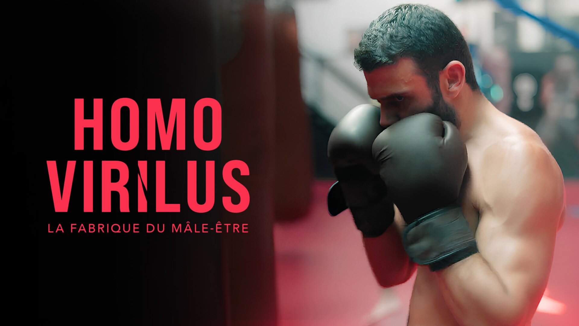 Homo virilus : la fabrique du mâle-être