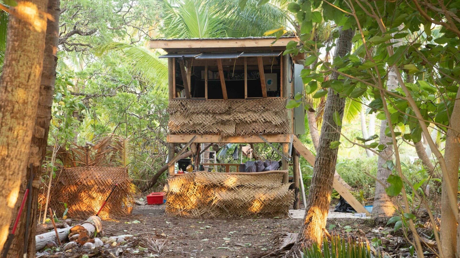 Seul sur l'atoll, journal d'un naufragé volontaire