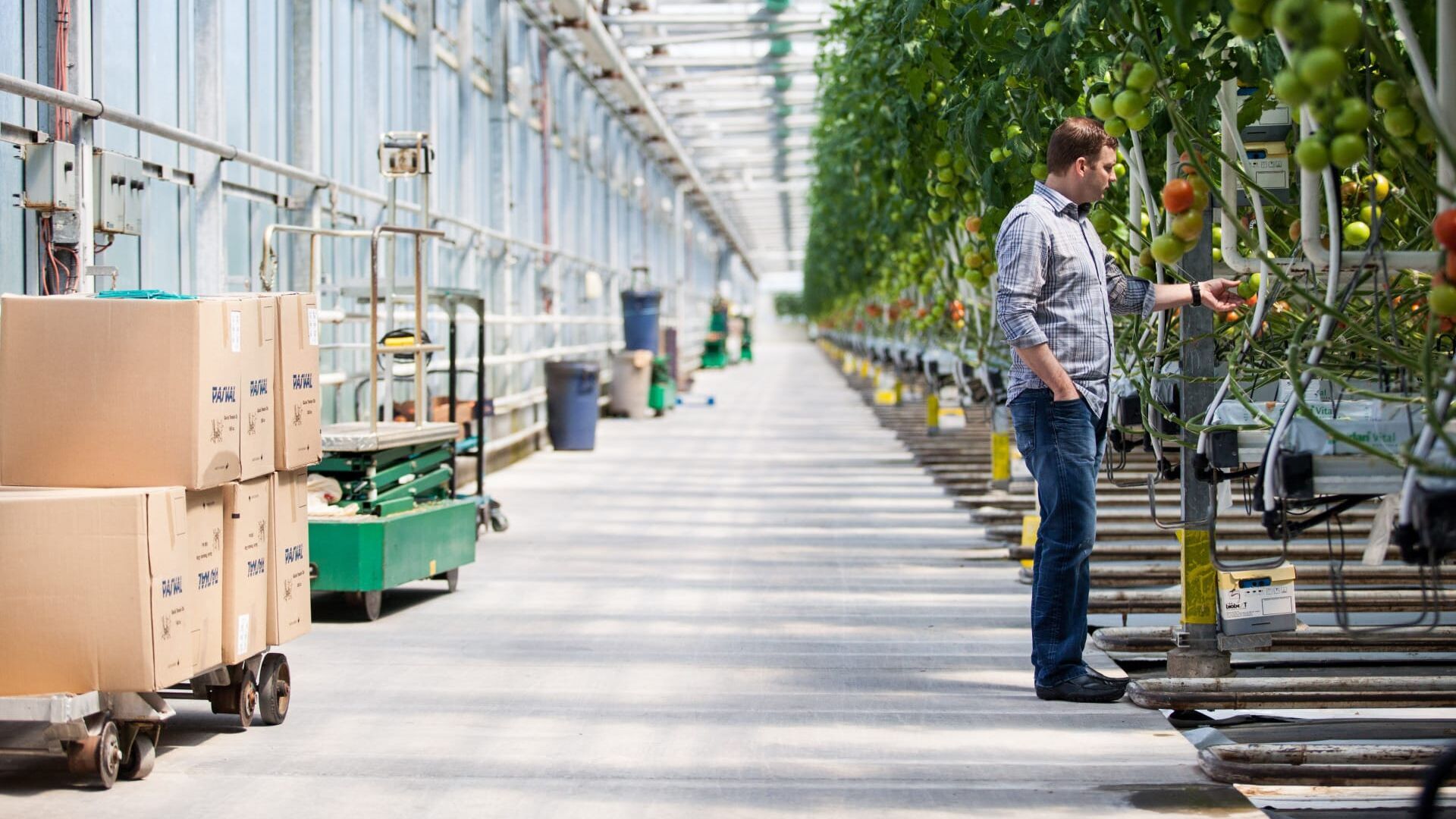 Chewing-gum et cupcake