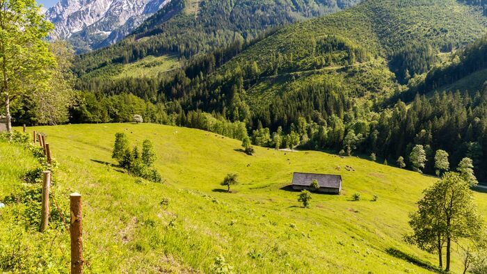 Parque Nacional Picos de Europa