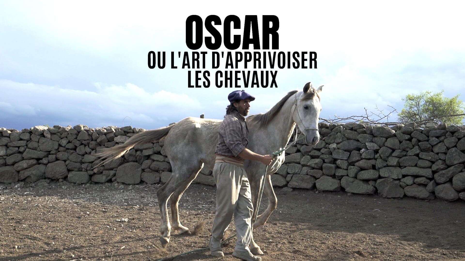 Oscar ou l'art d'apprivoiser les chevaux