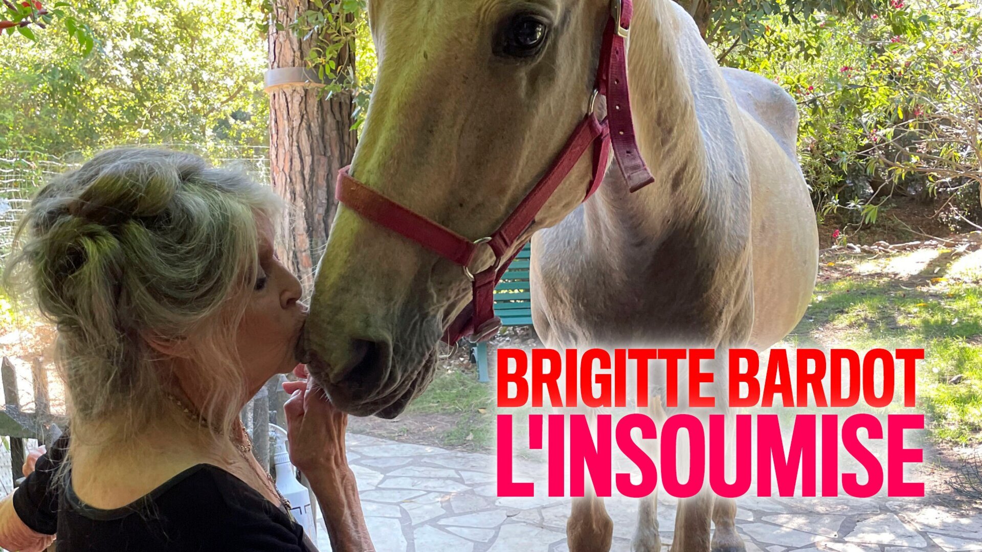 Brigitte Bardot l'insoumise