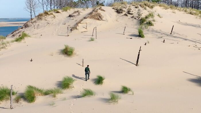 Retenir les dunes