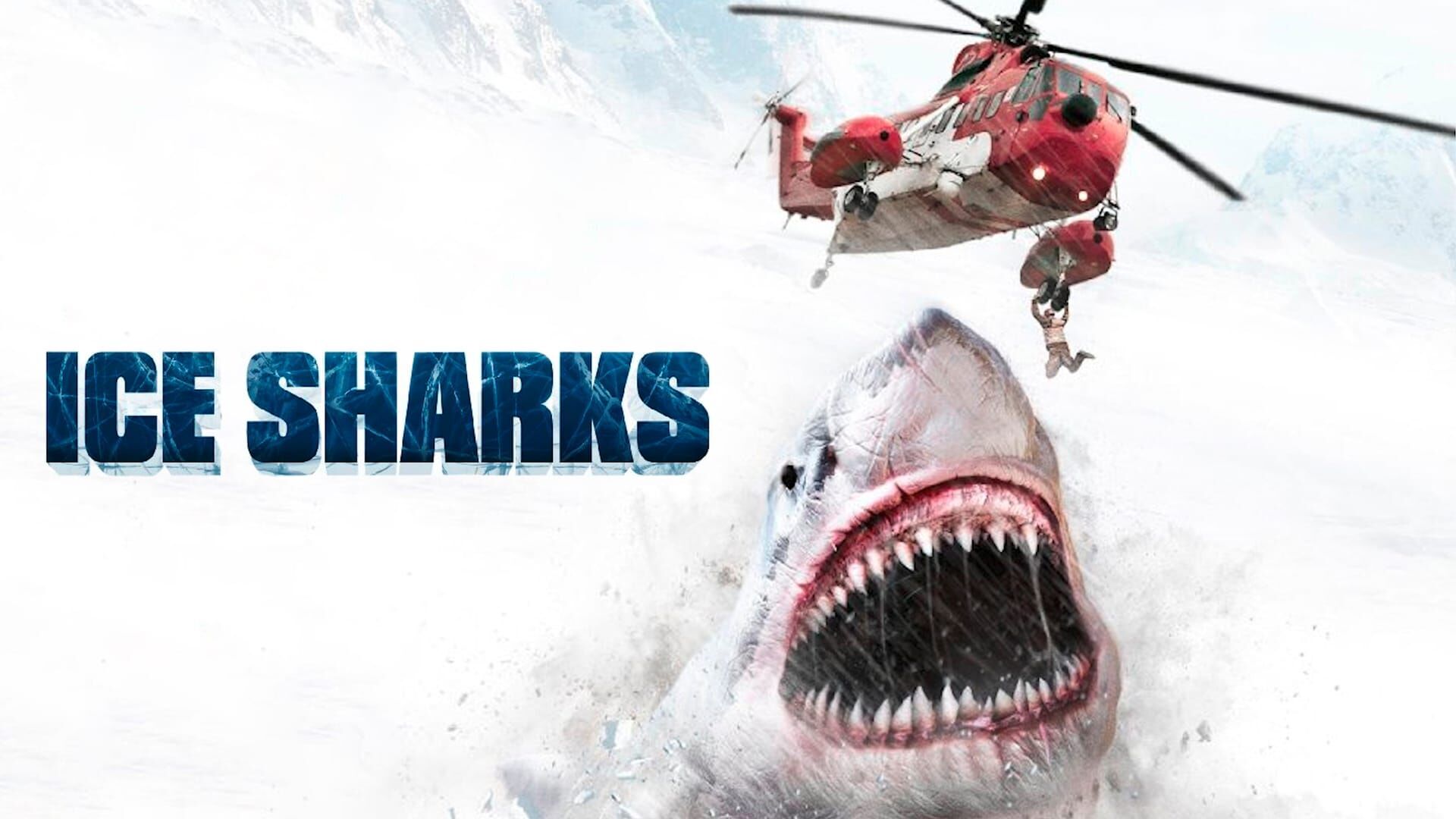 Ice sharks : requins des glaces