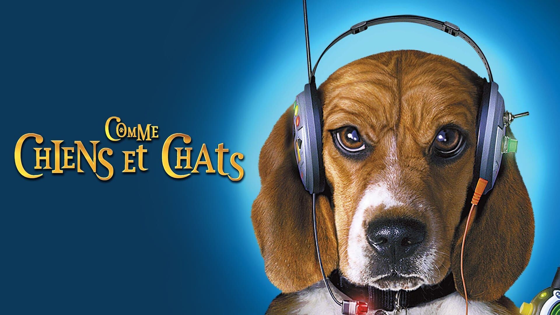 Comme chiens et chats