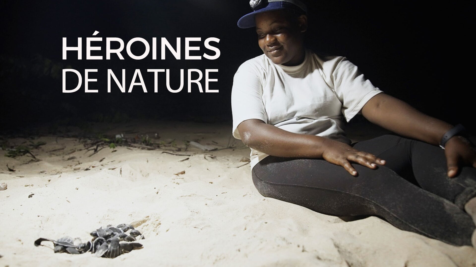 Tortue luth, un long voyage