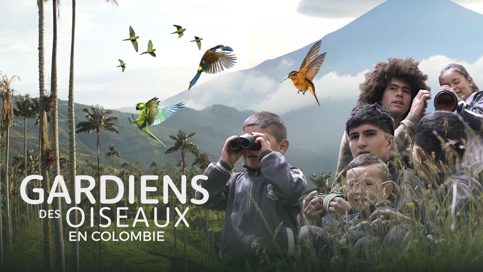 Gardiens des oiseaux en Colombie