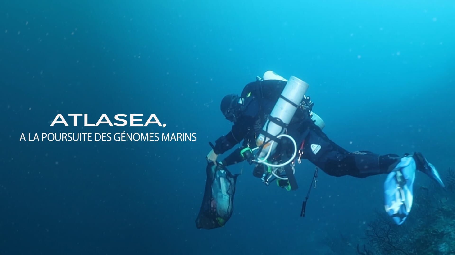 ATLASea, à la poursuite des génomes marins