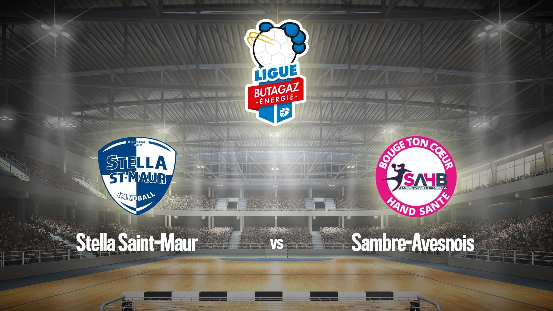 Handball : Championnat de France féminin