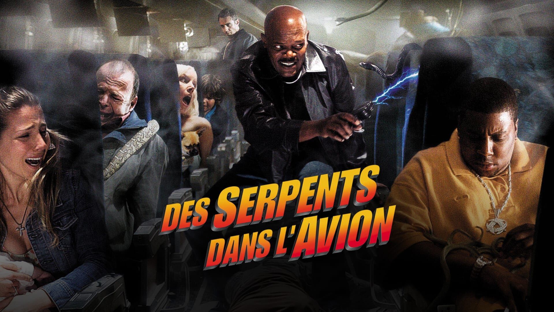 Des serpents dans l'avion