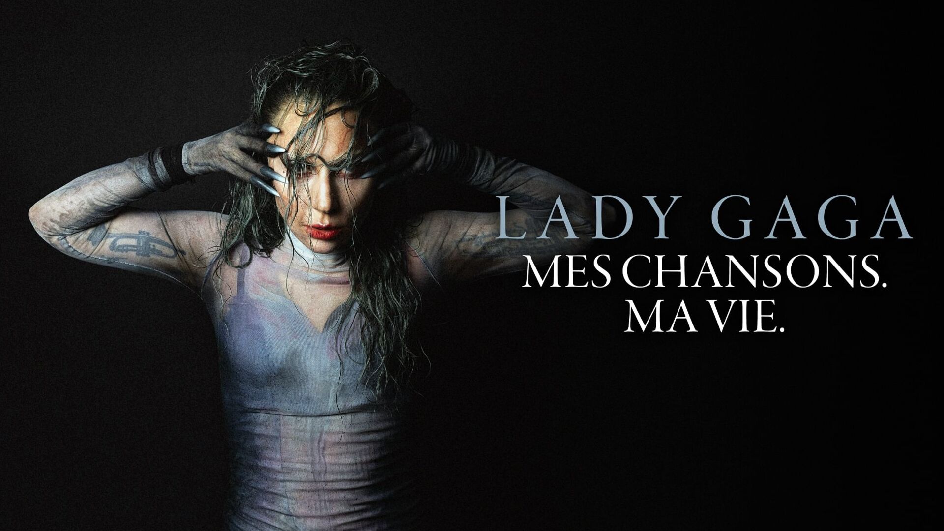 Lady Gaga : Mes chansons. Ma vie