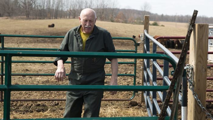Charlie, le cheval miniature
