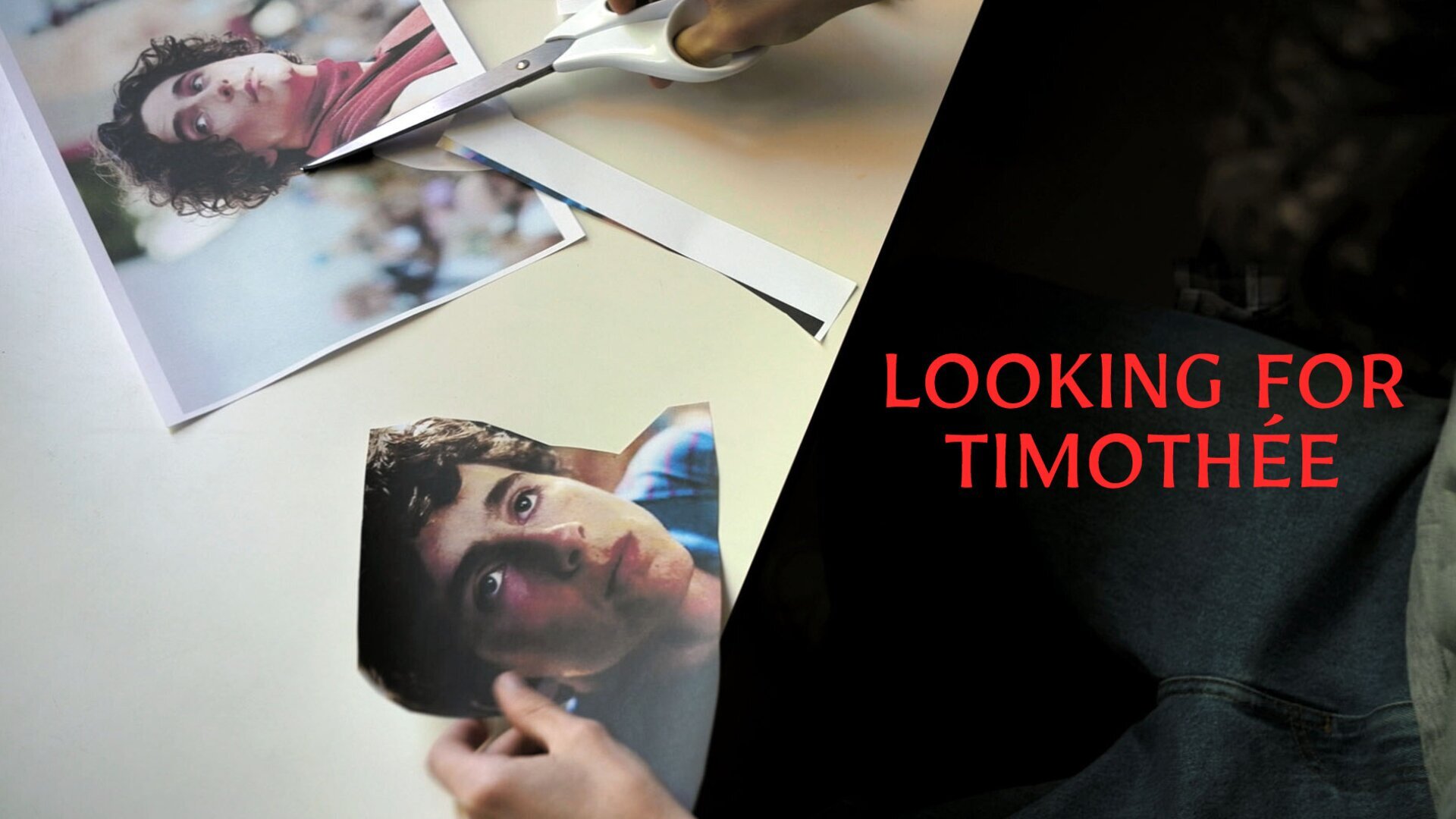 Looking for Timothée