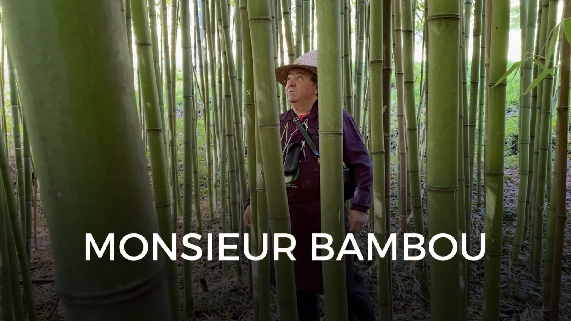 Monsieur Bambou