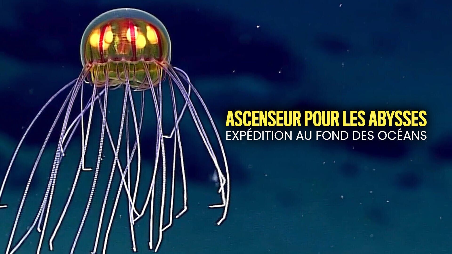 Ascenseur pour les abysses : Expédition au fond des océans