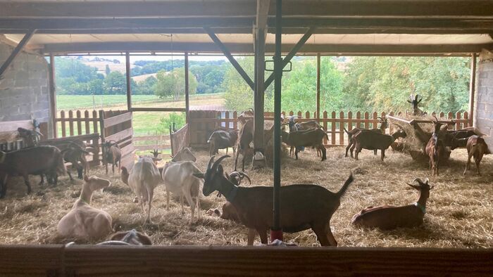 L'Occitanie, de ferme en ferme