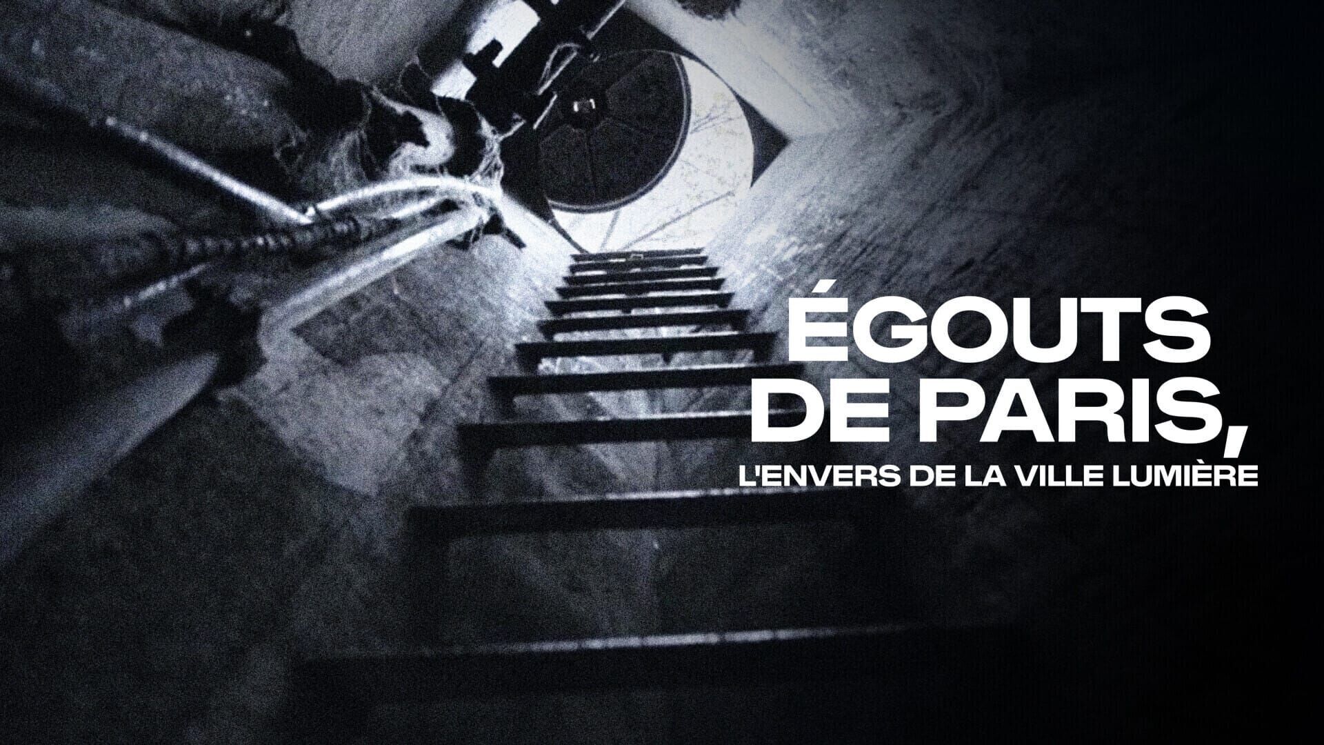 Les égouts de Paris : l'envers de la Ville Lumière