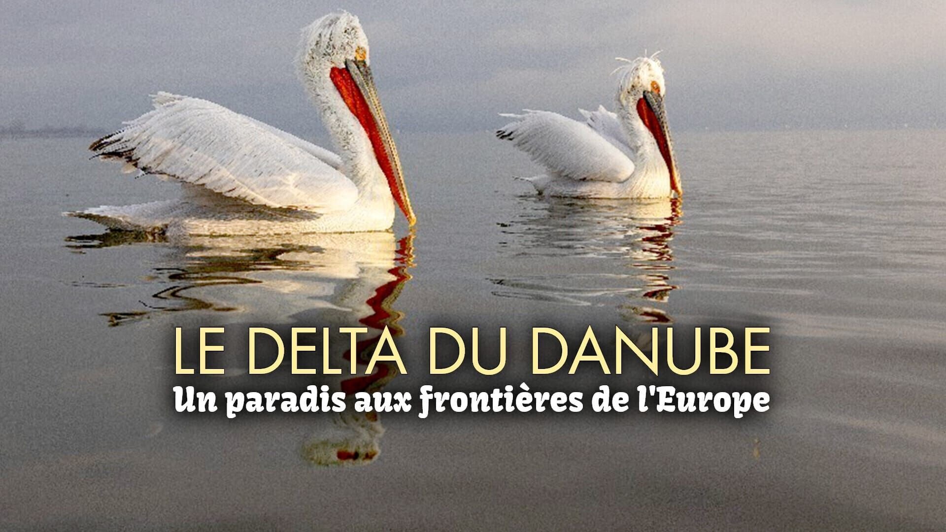 Le delta du Danube : Un paradis aux frontières de l'Europe