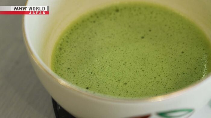 Matcha's Power, Explained by Science