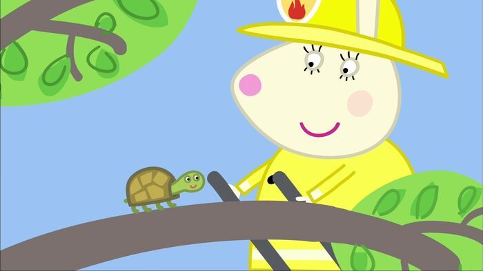 La tortue de la doctoresse Hamster