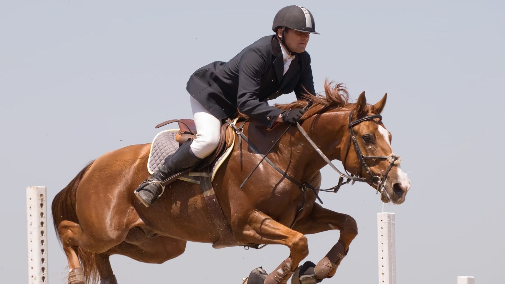 Longines FEI World Cup Jumping North American League