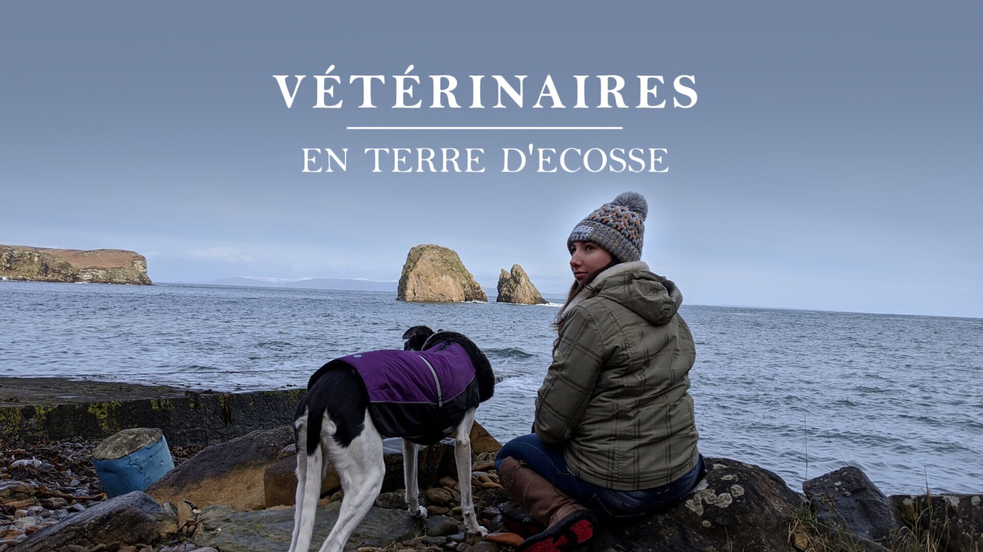 Vétérinaires en terre d'Ecosse
