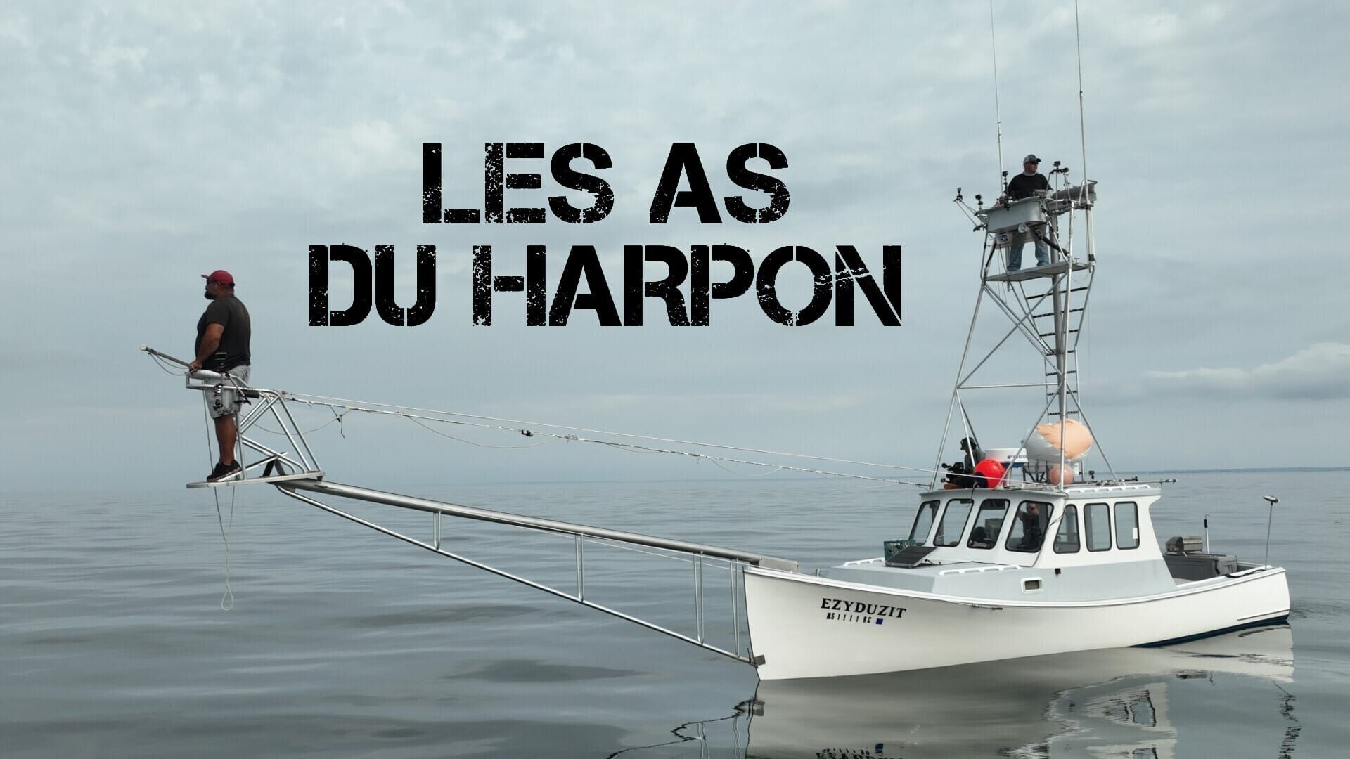 La lignée des thons rouges