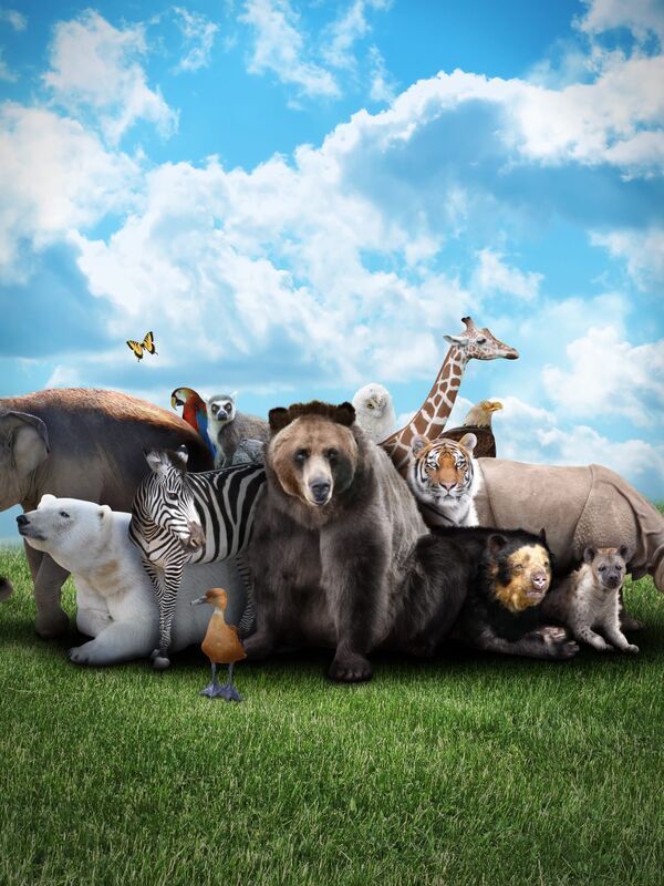 Les predateurs du Tibre